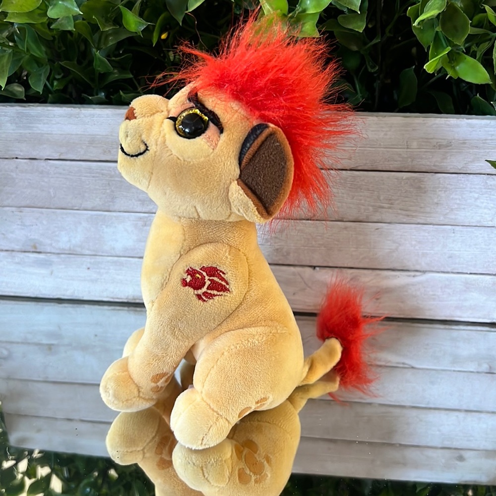 Kion from the lion guard
